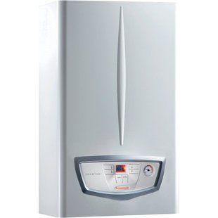 Котел газовий IMMERGAS Nike Mythos 24-2 E димохідний 1759949654-30 фото
